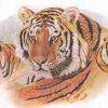 Tiger-Trading-Big-Size Logotyp