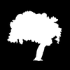 SEIDENPLANTAGE Logotype
