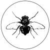 Common Housefly Logotype