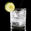 Gin24.de Logotype