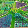 Bergs Fairytale Garden Logotyp
