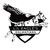 Lil Eagles Logotype