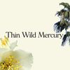 Thin Wild Mercury Logotype