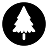 Between the Pines Discs Logotype