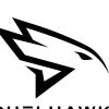 Duelhawk Logotype