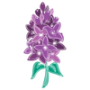 International Lilac Society Logotype