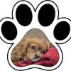 Pawsome Stickers and Magnets Logó