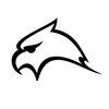 Falcon Logotype