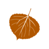 aspenartco Logotyp
