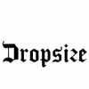 Dropsize Logotype