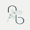 Nadia brans Logotipo