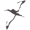 ALBATROS Logo