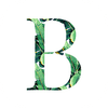 The Sol Ari Collection Logotype