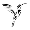 Pakka Beauty Logotyp