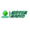 Mister Radio GPS Logotype