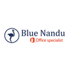 Bluenandu Logotype
