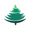 Pine Decor Logotipo