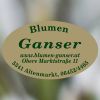 Blumen Ganser | Holz Ganser, Floristik & Holzartikel Logotyp