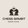 CHESS STORE US Logotipo