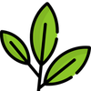 Kitchen by Nature® Logotype