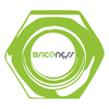 briconess.com Logotyp