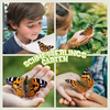 Schmetterlingsgarten Logo