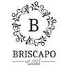 briscapo.se (KCO) Logo
