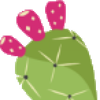 cacti.ch 