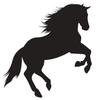 Mad Horse Farms Logotyp