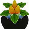 ARURA Logotyp