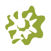 windyhillp Logotyp