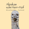 Alpakas vom Herr Hof Logotip
