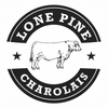 lonepinecharolais.com Logo