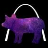 The Stellar Hog Logotype