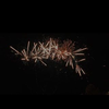 SP PyroSpecky Feuerwer Logotyp