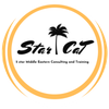 Star Cat Logotyp