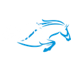 Nags Essentials Logotype