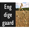 Engdigegaard Logo
