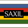 Saxil Frederiksberg | Frederiksberg Logo