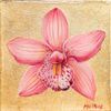 Marni Mutrux Art Logotipo