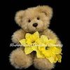 Mumma Bears Cherished Memories Logotype