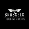 Brussels Limousine Services Logotyp