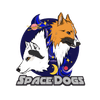 Paulina Szczygielska CENTRUM SZKOLENIA PSÓW - SPACEDOGS NIP:6121882686 