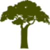 Organic Series Logotyp