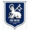 PNE Online Logotype