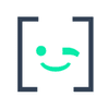 Developmizer Logotyp
