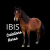 Ibis Créations Horse Logotype
