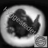 Hyggestedet.dk Logotyp