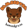 BAMSEDYRA Logotipo