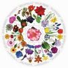 Michele Evola Art Studio Logotyp